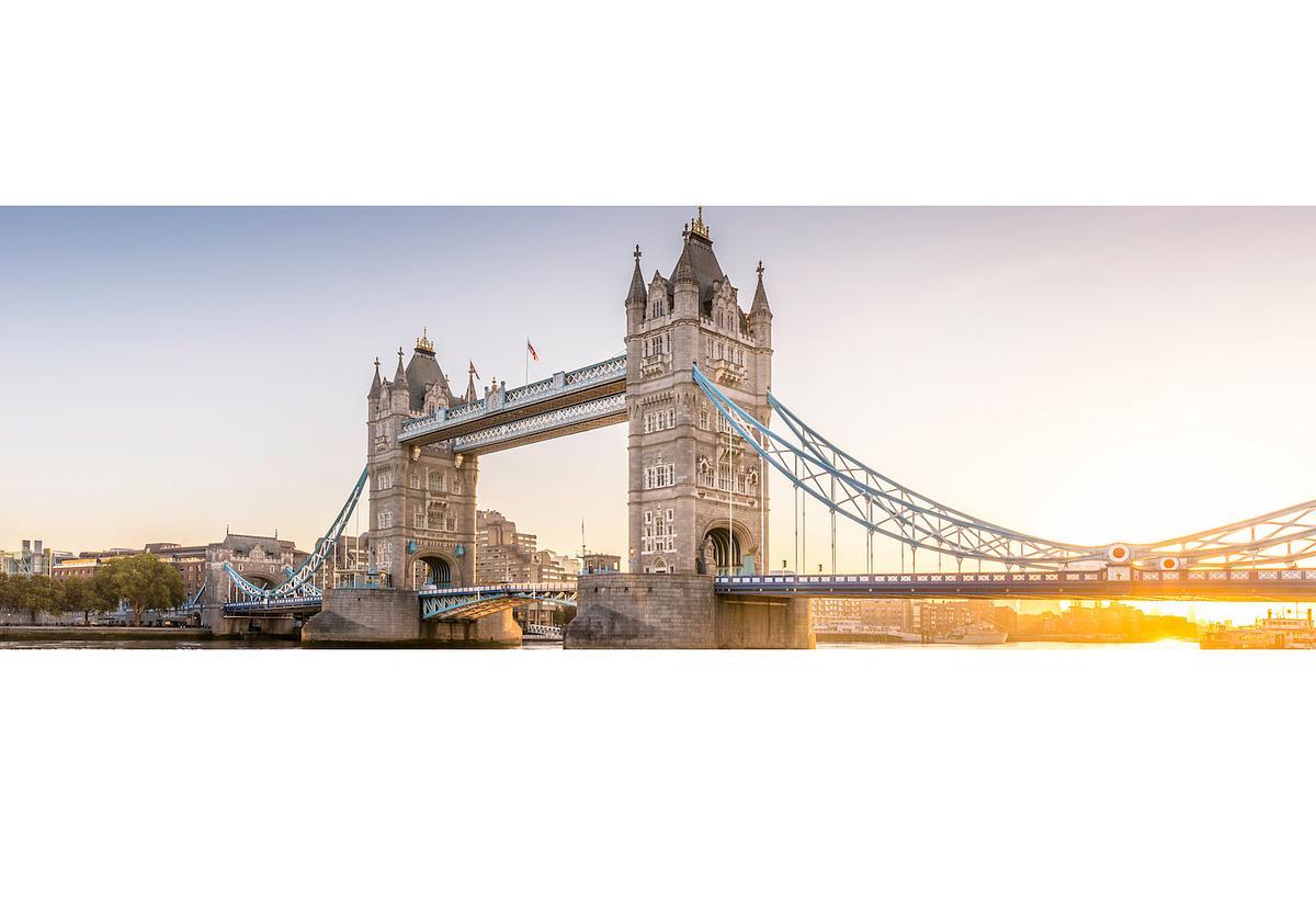 AAMAS 2021 Workshops & Tutorials