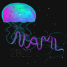 NAML 2022