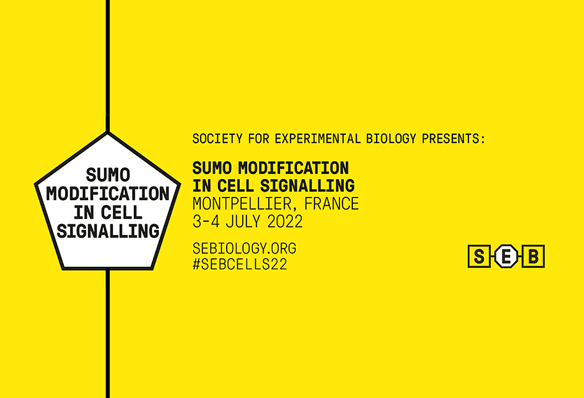 Sumo Modification in Cell Signalling