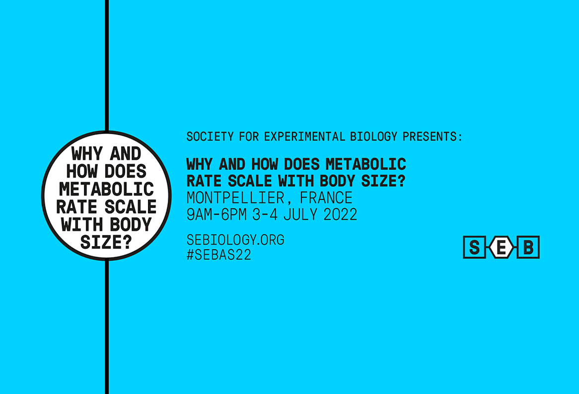 Why and how does metabolic rate scale with body size?