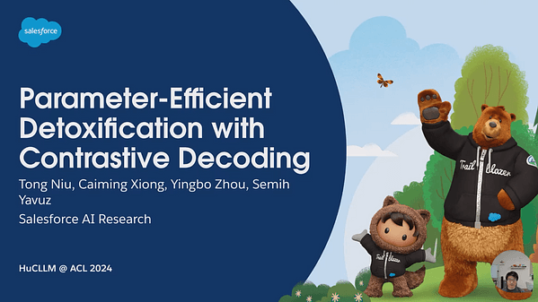 Parameter-Efficient Detoxification with Contrastive Decoding