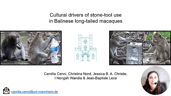 RECORDING - Cultural drivers of stone-tool use in Balinese long-tailed macaques