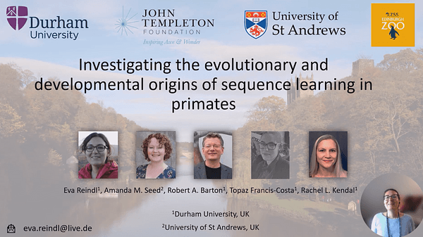 RECORDING - Investigating the evolutionary and developmental origins of sequence learning in primates