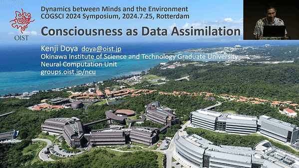 Conciousness as Data Assimilation