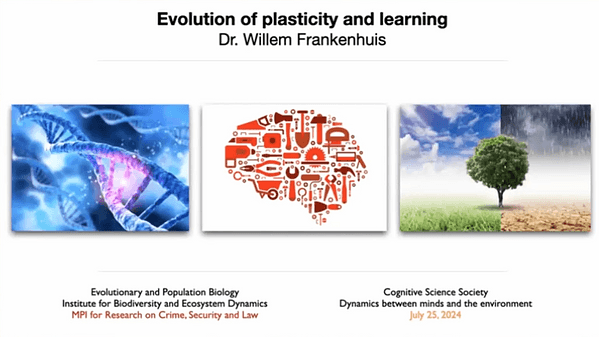 Evolution of plasticity and learning
