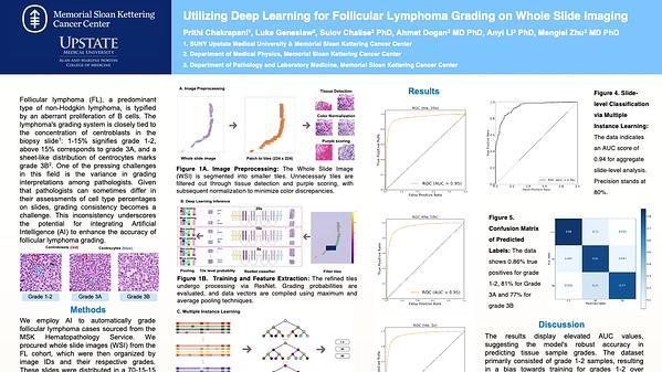 Utilizing Deep Learning for Follicular Lymphoma Grading on Whole Slide Imaging