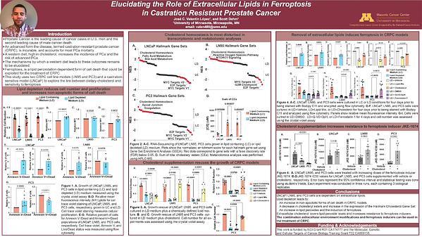 Elucidating the Role of Extracellular Lipids in Ferroptosis in Castration Resistant Prostate Cancer
