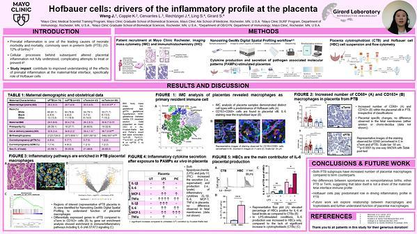 Hofbauer cells: drivers of the inflammatory profile at the placenta
