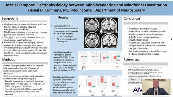 Mesial Temporal Electrophysiology between Mind-Wandering and Mindfulness Meditation