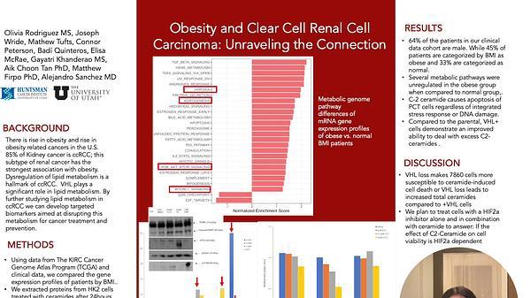 Obesity and Clear Cell Renal Cell Carcinoma: Unraveling the Connection