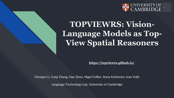 TopViewRS: Vision-Language Models as Top-View Spatial Reasoners