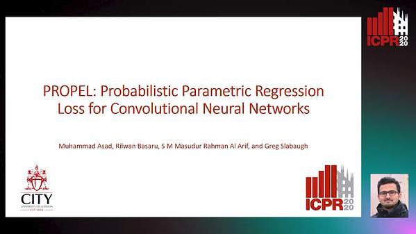 PROPEL: Probabilistic Parametric Regression Loss for Convolutional Neural Networks