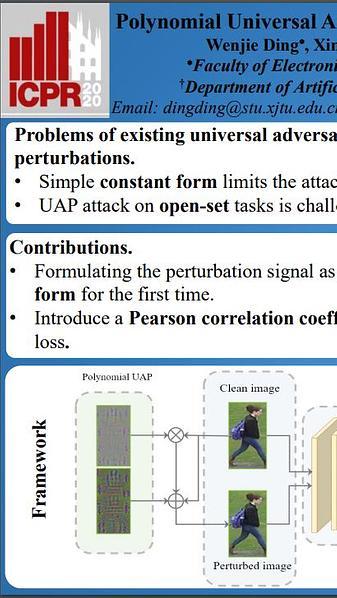 Polynomial Universal Adversarial Perturbations for Person Re-Identification