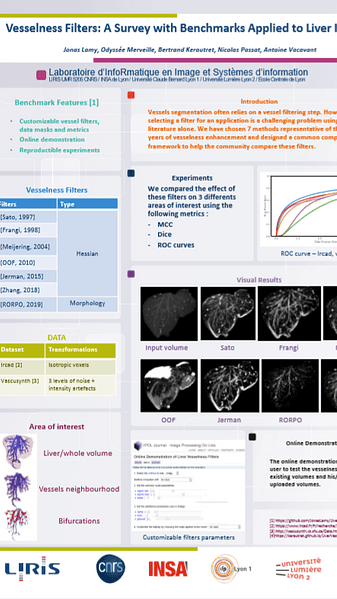 Vesselness Filters: A Survey with BenchmarksApplied to Liver Imaging