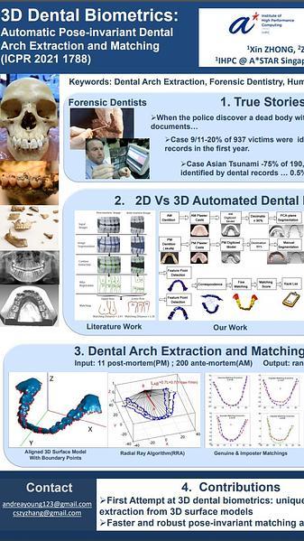 3D Dental Biometrics: Automatic Pose-invariant Dental Arch Extraction and Matching