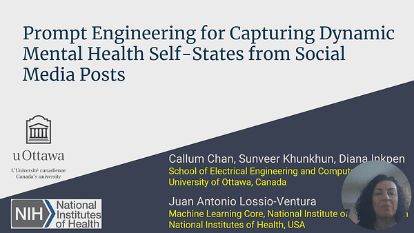 Prompt Engineering for Capturing Dynamic Mental Health Self States from Social Media Posts