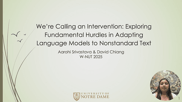We’re Calling an Intervention: Exploring Fundamental Hurdles in Adapting Language Models to Nonstandard Text