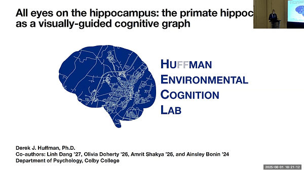 All Eyes on the Hippocampus: The Primate Hippocampus as a Visually-Guided Cognitive Graph