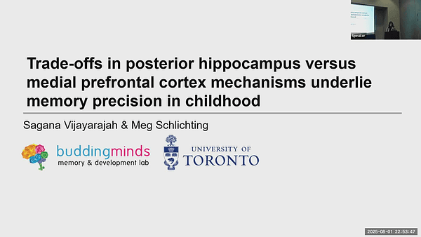 Trade-offs in posterior hippocampus versus medial prefrontal cortex mechanisms underlie memory precision in childhood