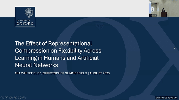 The Effect of Representational Compression on Flexibility Across Learning in Humans and Artificial Neural Networks