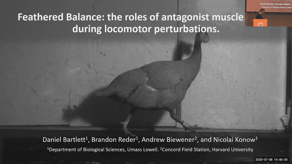 Lecture image placeholder