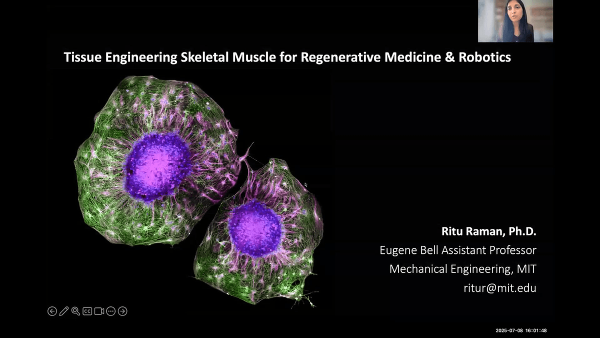 Lecture image placeholder
