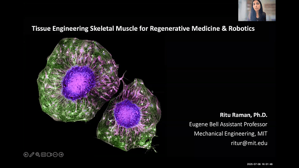 Tissue engineering skeletal muscle for regenerative medicine and robotics