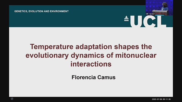 Temperature adaptation shapes the evolutionary dynamics of mitonuclear interactions