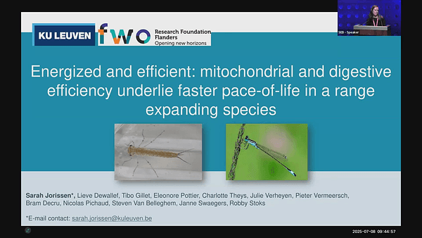 Energized and efficient: digestive efficiency and mitochondrial phenotype underlie the rapid evolution of a faster pace-of-life in a range-expanding species