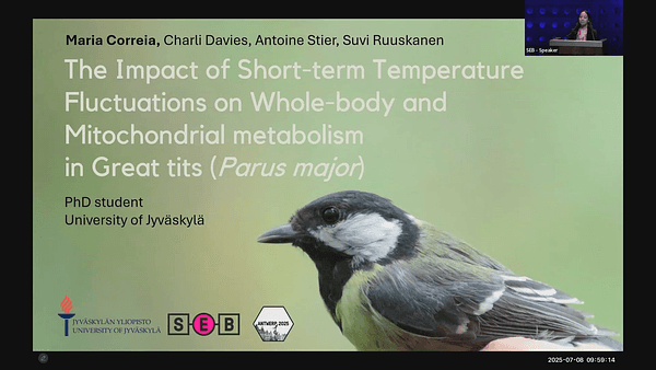 AThe impact of short-term temperature fluctuations on whole-body metabolism and mitochondrial function