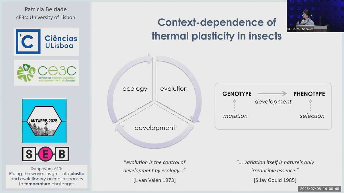 Lecture image placeholder