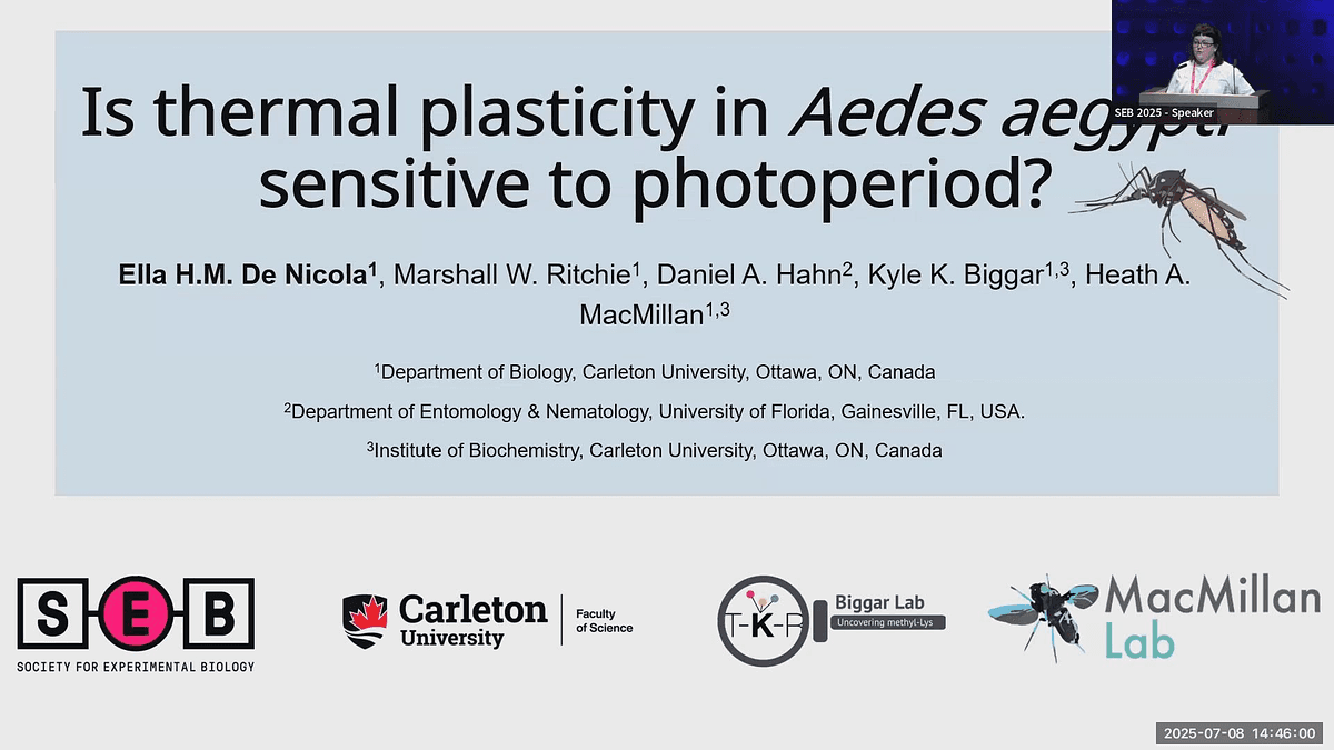 Lecture image placeholder