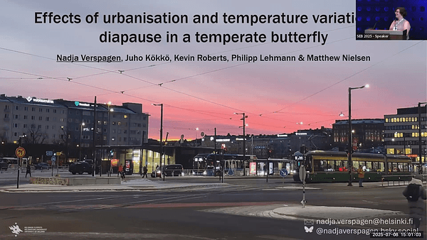 Effects of urbanisation and temperature variation on diapause in a temperate butterfly