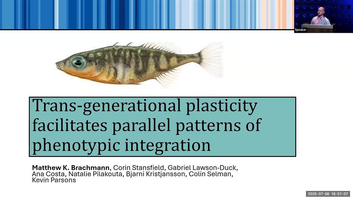 Lecture image placeholder