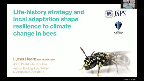 Life-history strategy and local adaptation shape resilience to climate change in bees