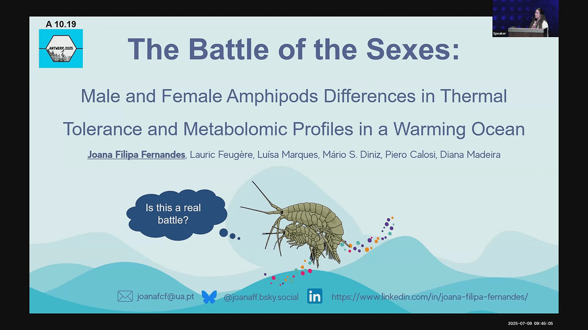 Lecture image placeholder