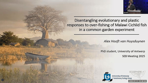 Disentangling evolutionary and plastic responses to over-fishing of Malawi Cichlid fish in a common garden experiment