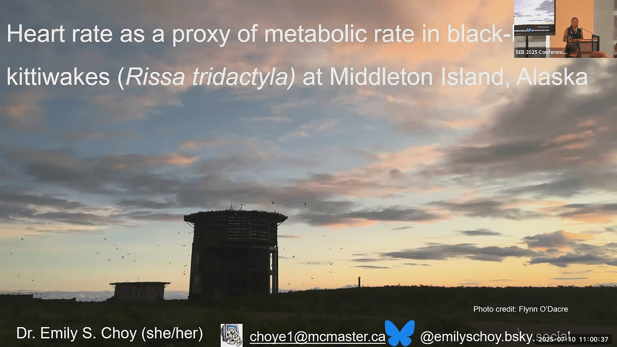 Lecture image placeholder