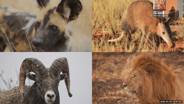 No strings attached: Wireless temperature biologgers to improve remote physiological data collection