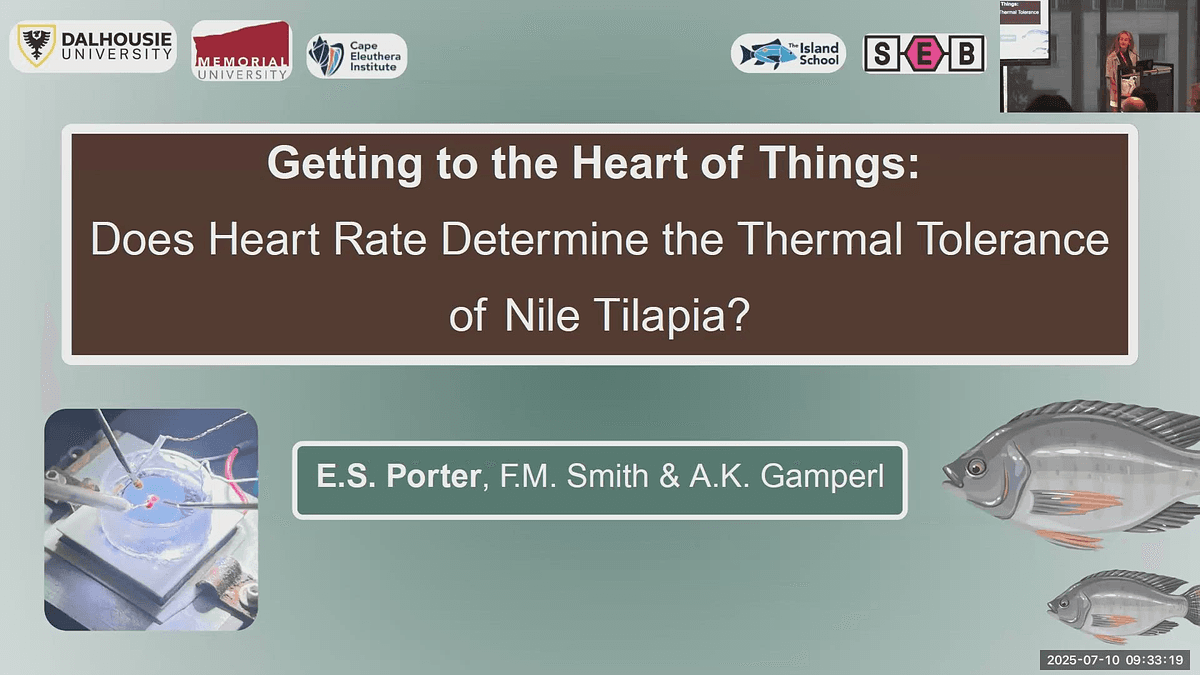 Lecture image placeholder