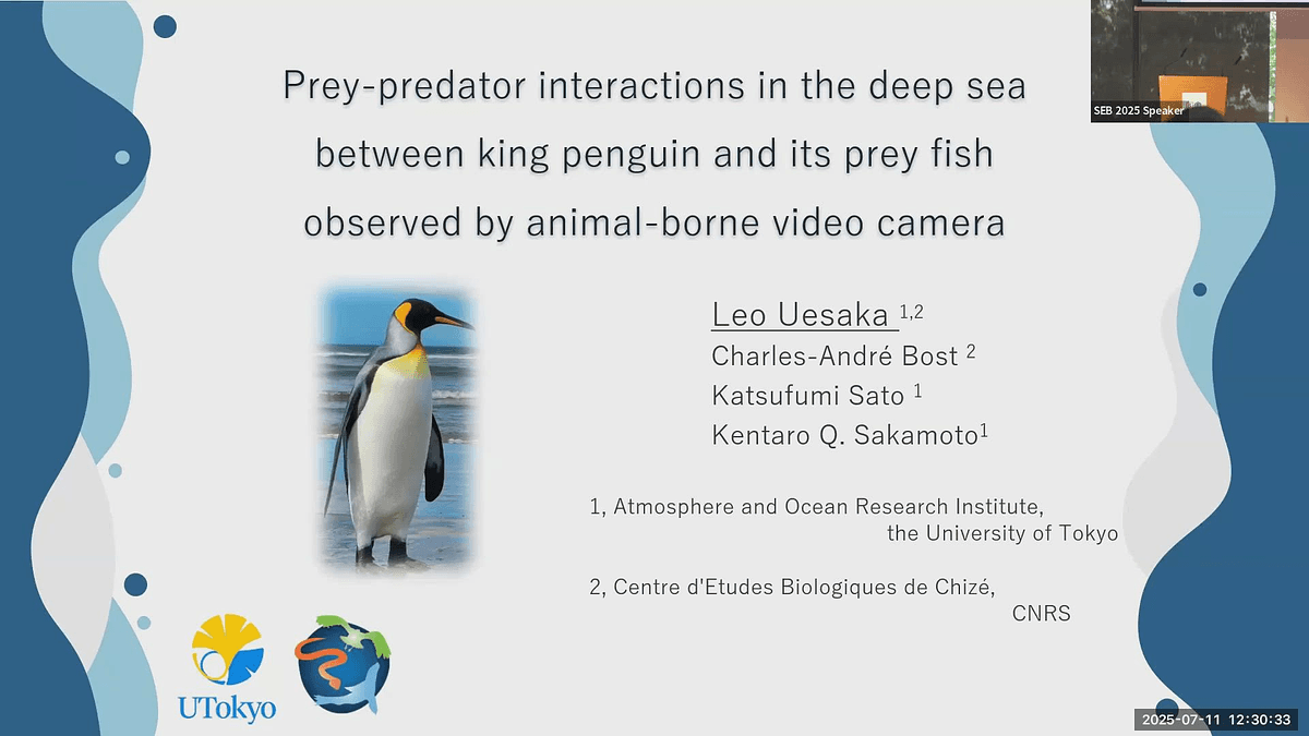Lecture image placeholder