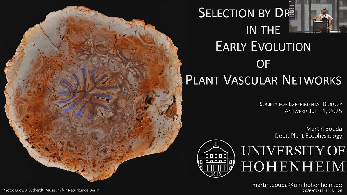 Lecture image placeholder