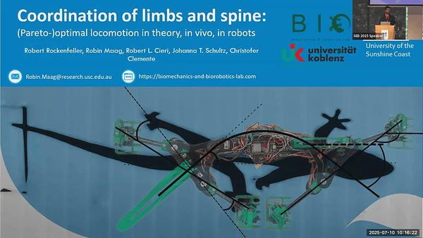 Coordinating limbs and spine: (Pareto-) optimal locomotionin theory, in vivo, and in robots