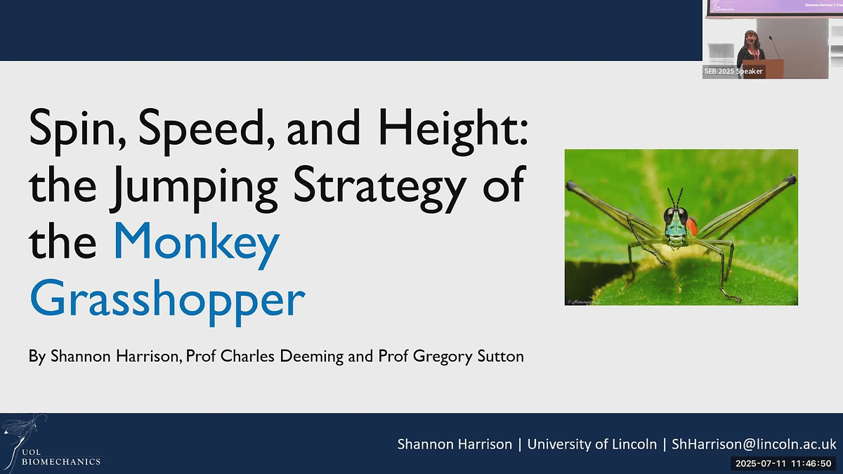 Lecture image placeholder