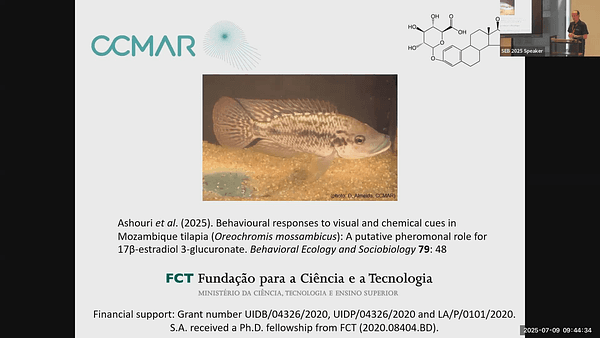What steroid hormones can tell us about Ross seals (Ommatophoca rossii)
