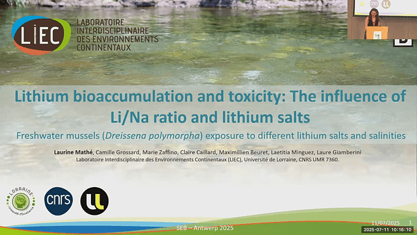 Lithium bioaccumulation and toxicity: The influence of Li/Na ratio and lithium salts.
