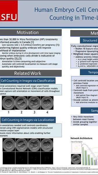 Human Embryo Cell Centroid Localization and Counting in Time-Lapse Sequences