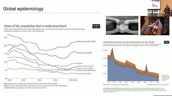 TUDCA attenuates structural changes in the hearts of mice fed a low-protein diet