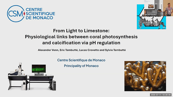 From Light to Limestone: physiological links between reef coral photosynthesis and calcification via pH regulation
