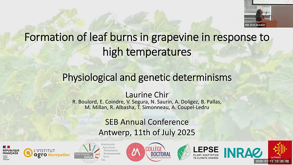 Interactions of Arbuscular Mycorrhizal Fungi with Native Grassland Species Under Combined Heat and Water Stress